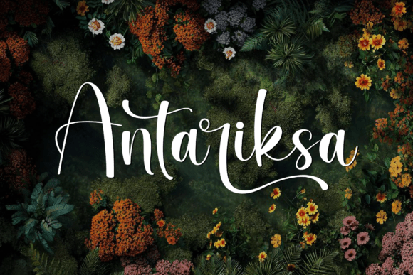 Antariksa: A Font That Elevates Branding with Grace and Style