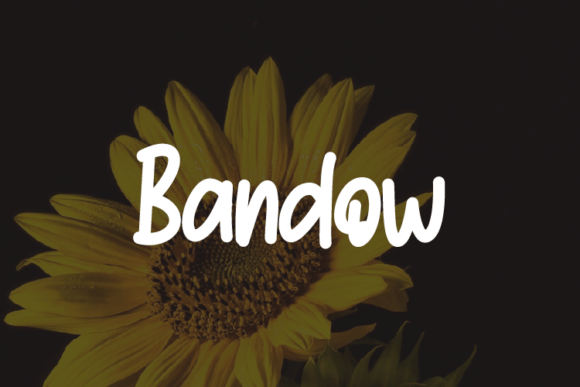 Bandow: The Font That Elevates Every Campaign